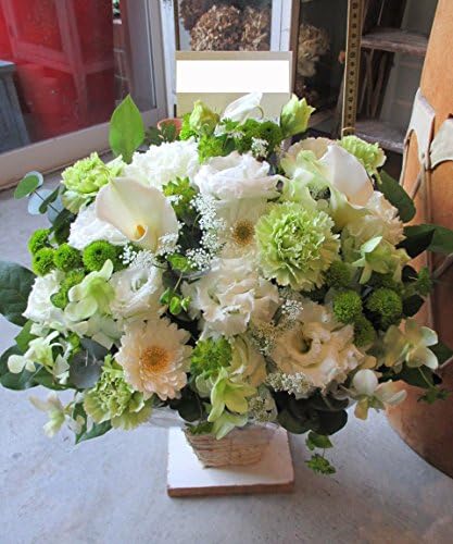 Amazon ｔｖチャンピオン出場 お供え 今旬 フラワーアレンジメント 8 000円 白 お供え花 お悔み 花 ペットお供え花 ペット 四十九日 一周忌 お彼岸 新盆 お盆 命日 法事 フラワーアレンジメント オンライン通販