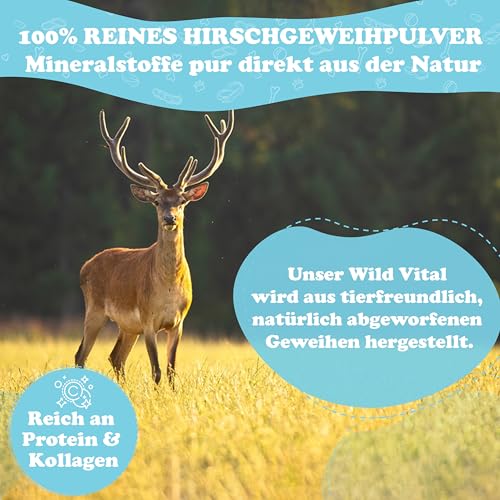 Hirschgeweihpulver für Hunde & Katzen - Mineralstoffversorgung 100% natürlich - Kollagen Pulver mit Protein, Calcium, Magnesium, Spurenelemente 200 g