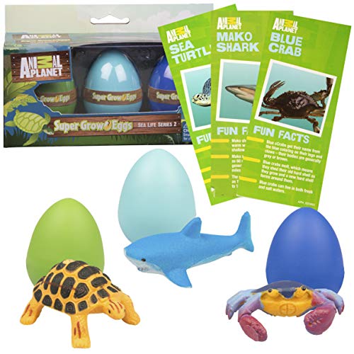 Animal Planet Ocean Easter Grow Eggs 3 Pack- Educational Marine Animal Toys - Hatch and Grow Your Own Sea Creature Pet (Series 2)