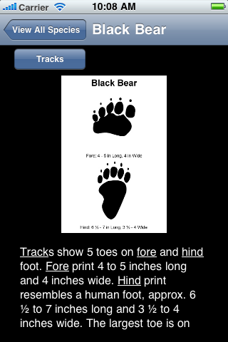 Animal Tracks
