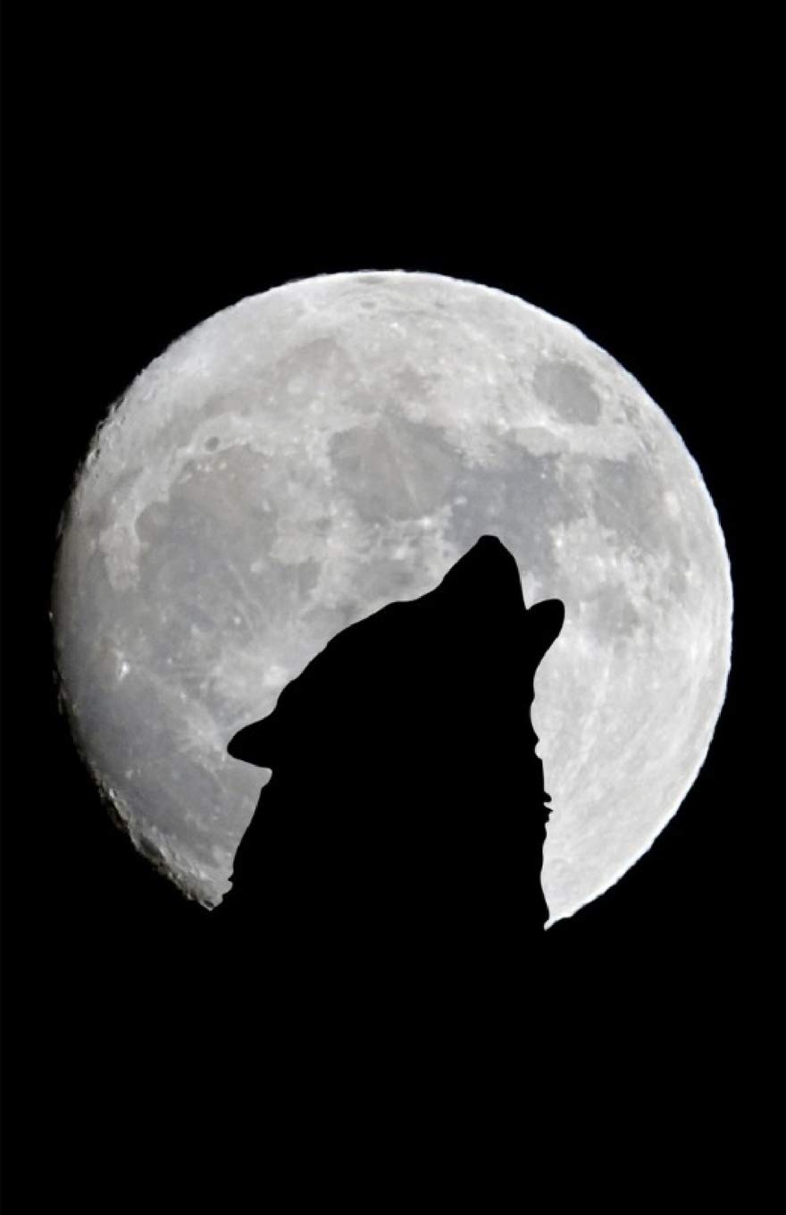 Wolf Journal: Wolf Howling at the Moon: Lined Journal, 120 Pages, 5.5 x 8.5, Wolf, Soft Cover, Matte Finish