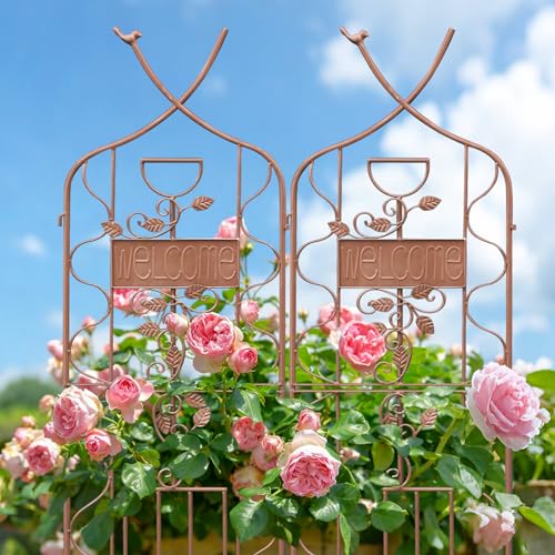 Image of LZRS 2 Pack 59.5 * 18in Rustic Iron Arch Decoration Garden Trellis with Metal Coating - Perfect for Supporting Climbing Plants Outdoor, Roses, Vines, Flowers, and Vegetables, Brown
