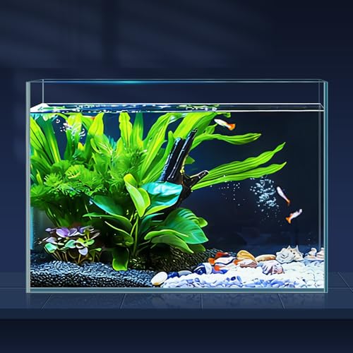 LAQUAL Acquario da 10 litri con retino e sifon per cambio acqua, in vetro cristallino, piccolo acquario per pesci betta e rossi, bella decorazione domestica