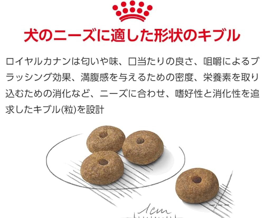 Amazon.co.jp: ロイヤルカナン CCN ミニステアライズド 8kg