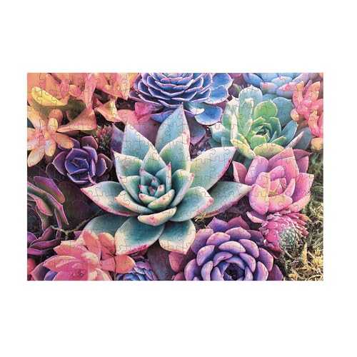 Buffalo Games - Rompecabezas de Madera de 250 Piezas Simple Succulents, Piezas Estándar Whimsy, 26.75 x 19.75, Póster, Bolsa de Tela, Caja de Madera, Adultos 14+ miniatura 2