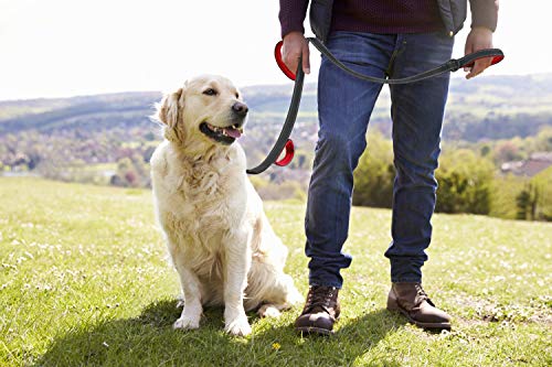 Idepet Dog Leash 3 Handles 6ft Traffic Padded - Pet Training Walking Lead Heavy Duty Reflective Leash for Large,Medium and Small Dogs (Red)
