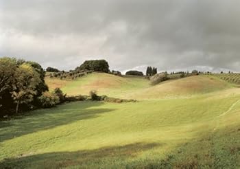 Hardcover Recettes d'un été italien (0000) [French] Book