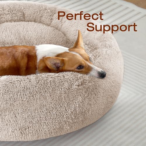 Image of JOLLYVOGUE Dog & Cat Bed, Calming Anti-Anxiety Pet Bed for Small Dogs, Fluffy Donut Cushion for Small and Medium Pets (20 inch)