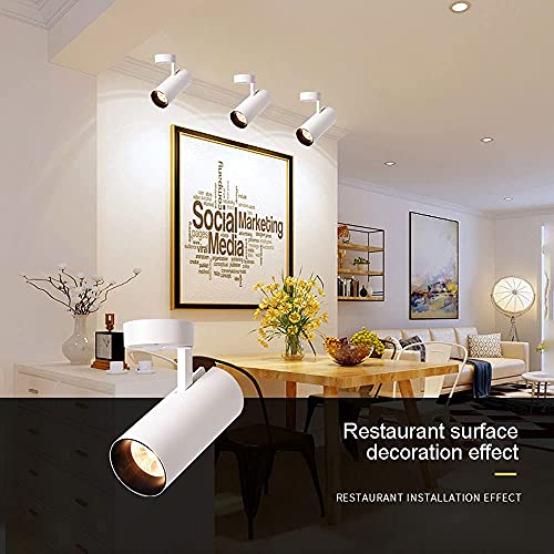 Spotlight speed accent eclairage spot orientable luminaire plafond