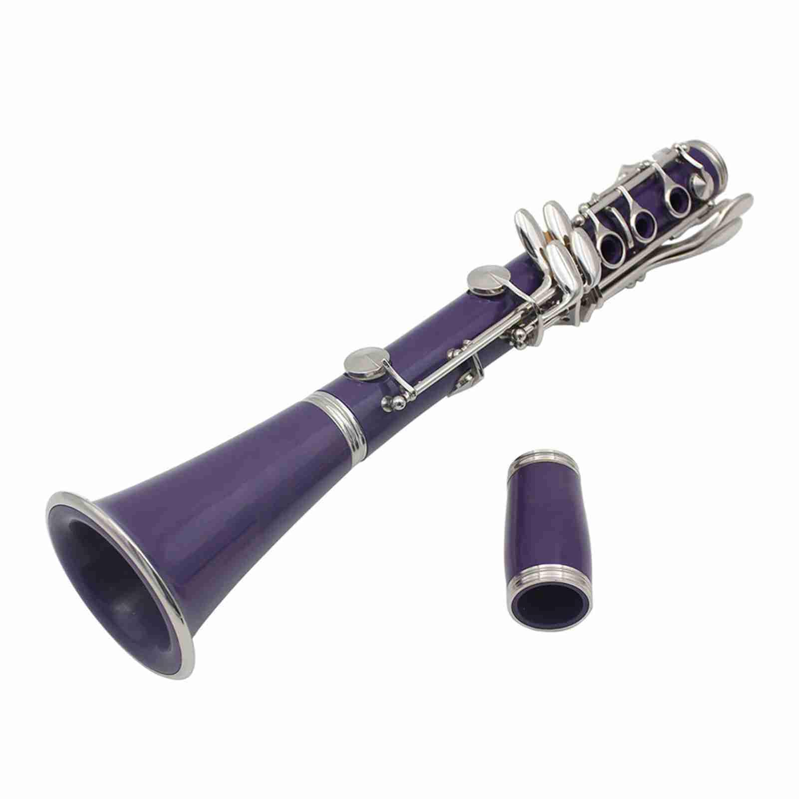 Eacam Clarinete B Plano, Instrumento de Viento de Madera ABS 17 Teclas con Estuche 10 Cañas, Paño Limpieza, Destornillador para Estudiantes Principiantes y Músicos (purple)