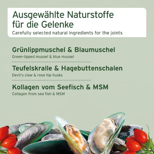 AniForte Gelenk Snack für Hunde 300g mit Grünlippmuschel für die Gelenke, hoher Hühnchen Fleischanteil, Funktionssnack getreidefrei statt Gelenktabletten für Knochen & Gelenke
