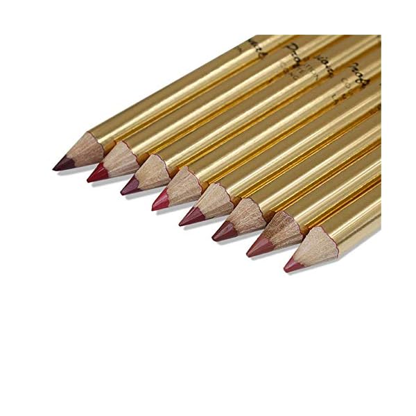 FANICEA-8-Colors-Matte-Lip-Liner-Pencil-Set-Natural-High-Pigmented-Waterproof-Long-Lasting-Non-Sticky-Ultra-Fine-Contour-Shaping-Smooth-Makeup-Lip-Liners-with-Pencil-Sharpener DELISOUL 8 Colors Matte Lip Liner Pencil Set Natural High Pigmented Waterproof Long Lasting Non-Sticky Ultra Fine Contour Shaping Smooth Makeup Lip Liners with Pencil Sharpener