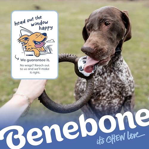 Image of Benebone Limited Edition Blueberry Large 4-Pack Dog Toys for Aggressive Chewers, Durable Dog Bones, Made in USA, Dog Toys for Large Dogs Under 90 lbs