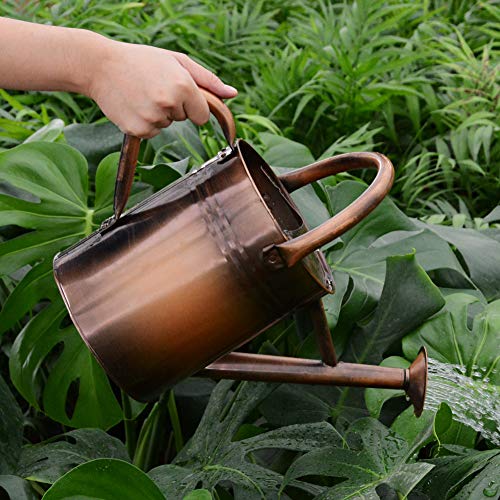 yourjoy Sliver Galvanized Steel Watering Can with Copper Accents,Removable Rosette-Diffuser,One-Gallon