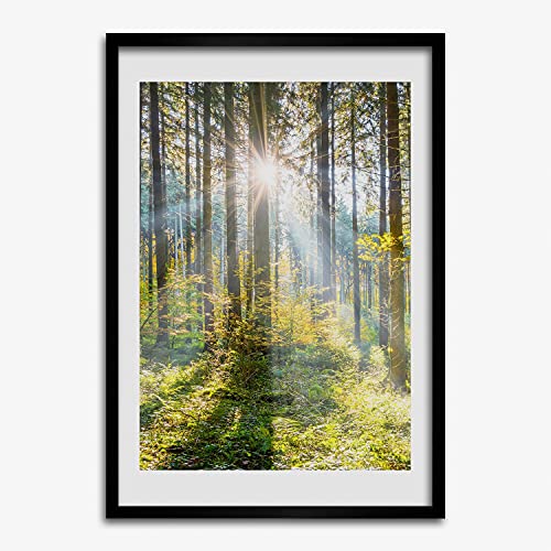 Cadre en bois de qualité supérieure Tulup forêt ensoleillée 50x70