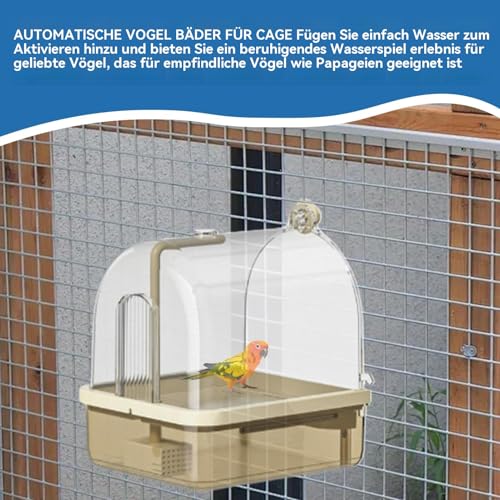 Station de bain automatique pour perroquets perruche ondulée avec perchoir