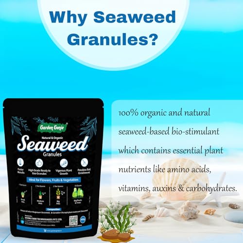 Image of Garden Genie Seaweed Extract Granules for Plants 900 Gm | Organic Fertilizer and Growth Promoter for All Indoor, Outdoor Home Garden Plants