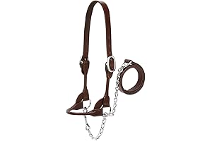 This Weaver Leather Livestock Dairy/Beef Rounded Show Halter in Brown, Small