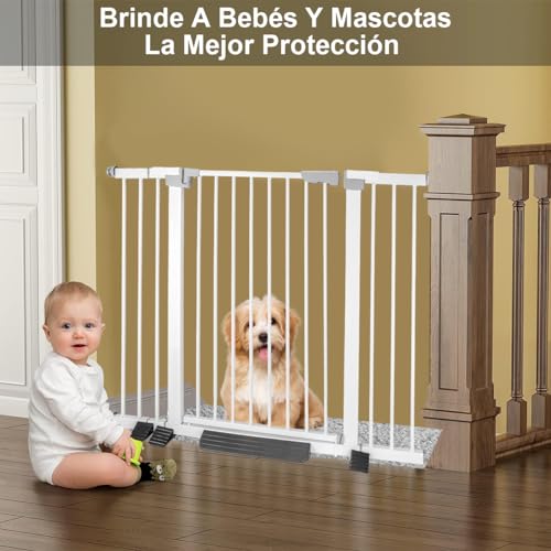 La Mejor Recopilación de Puerta para perros los preferidos por los clientes. 5 La Mejor Recopilación de Puerta para perros los preferidos por los clientes. 3