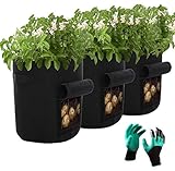 a ray of sunshine Pflanzbeutel Klein,Kartoffel Pflanzsack Vlies,Pflanzsack für Erdbeeren,Erdbeere Pflanzsack,Pflanzentaschen Vlies,Pflanzbeutel Tomaten,Kartoffel Wachsen Taschen(3pcs)