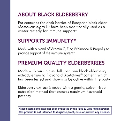 Nature's Way Sambucus Immune Elderberry Syrup With Vitamin C, Echinacea, & Zinc, Immune Support*, 8 Fl Oz (Pack Of 1) #TOP2