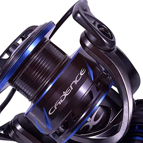 Why Does My Fishing Reel Go Backwards?