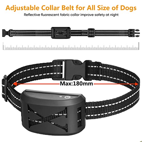Wireless Dog Fence Expert Tips