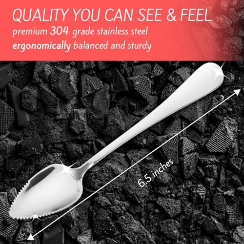Grapefruit Spoons – Serrated Edge Stainless Steel Spoons to Easily Cut Citrus Fruits like Grapefruit, Oranges & Kiwi – Polished Finish, Dishwasher Safe - 2 Pack