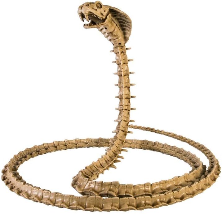 Deluxe 85" Skeleton Cobra Bones with Moveable Jaw Halloween Party Decoration Prop