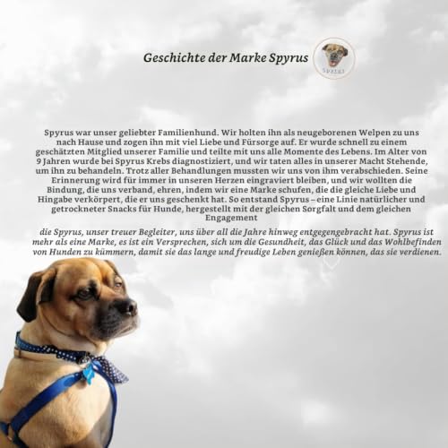 Spyrus Hasenohren ohne Fell Hunde Snack,Kaninchenohren ohne Fell,Naturprodukt für Hunde,Reich an Vitaminen & Mineralien|Snack für zwischendurch(200g)