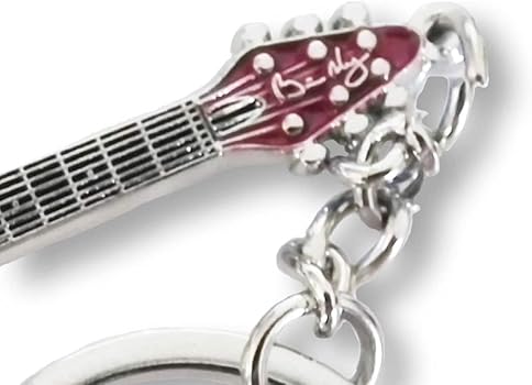 クイーン Queen VIP ツアーグッズ Brian May 実使用ピック クイーン Queen VIP ツアーグッズ Brian May 実使用ピック