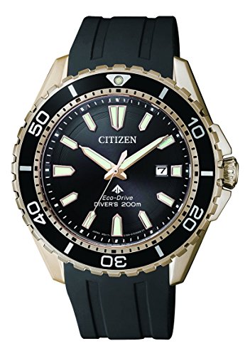 Preisvergleich Produktbild Citizen Herren Analog Solar Uhr mit PU Armband BN0193-17E