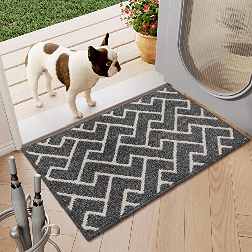 Indoor Doormat,Front Back Door Mat Rubber Backing Non Slip Door Mats,20"X31.5" Low-Profile Absorbent Resist Dirt Entryway Doormat Inside Floor Mats For Entrance Machine Washable(Grey) #TOP28