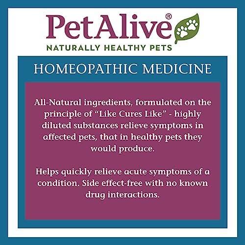 Petalive Cushex Dropsm Cushings Disease Pet Supplement 2fl Oz 59ml  Cucciolini Doodles Petalive cushex drops m cushings disease pet supplement 2fl oz  59ml   cucciolini doodles