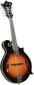 Rover RM-75 Deluxe Student F-model Mandolin - Sunburst