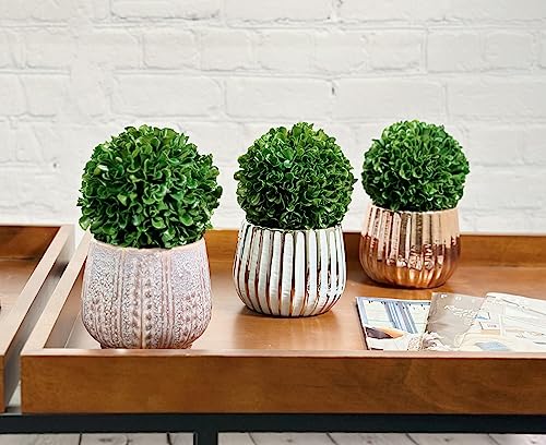 Admired By Nature Boxwood Topiary Balls