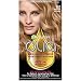 Garnier Olia Ammonia Free Hair Color [8.0] Medium Blonde 1 Each (Pack of 3)