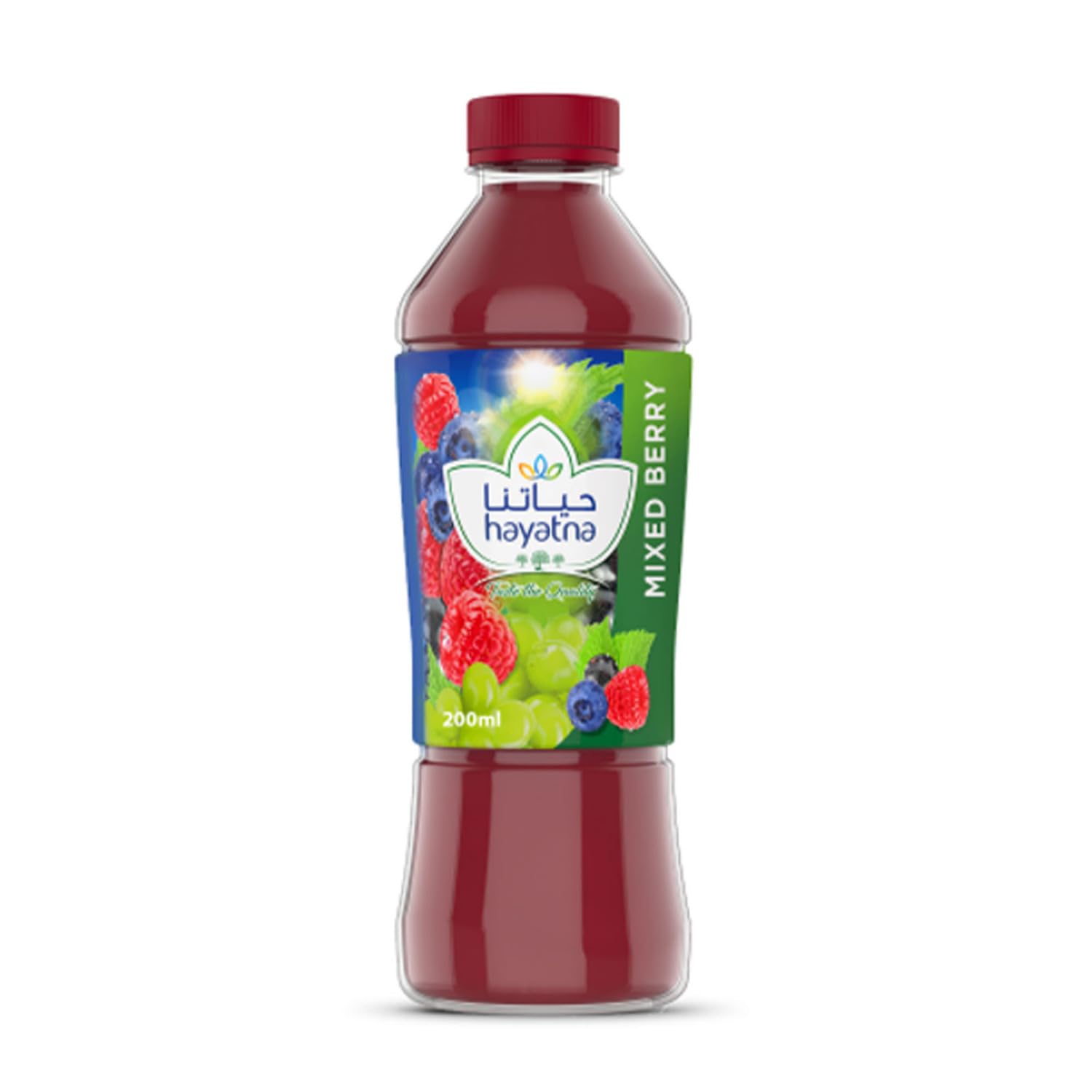 100% Pure Mix Berry Nectar Juice, 200 ml