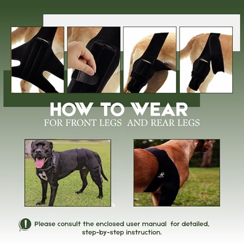 Image of Adjustable Dog Knee Brace for Torn ACL and Luxating Patella - Support for Back Leg, Hip Dysplasia, and Post-Surgery Recovery. Optimal Comfort and Stability for Your Beloved Pet
