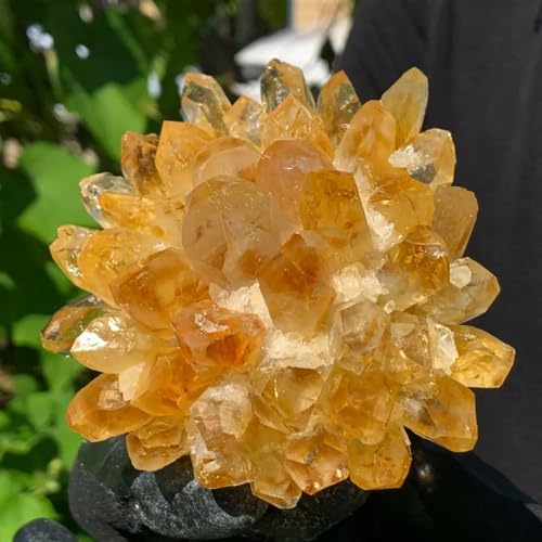 Quartz jaune tibétain en cluster de collection de 300g - 6