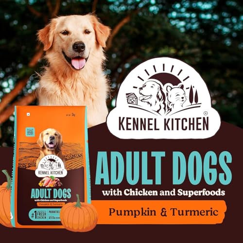 Image of Kennel Kitchen Dry Dog Food Adult 3 Kg | Fresh Chicken with Superfoods - Pumpkin & Turmeric | Probiotics for Digestive Support | No Artificial Colors or Flavours | Complete & Balanced for All Breeds