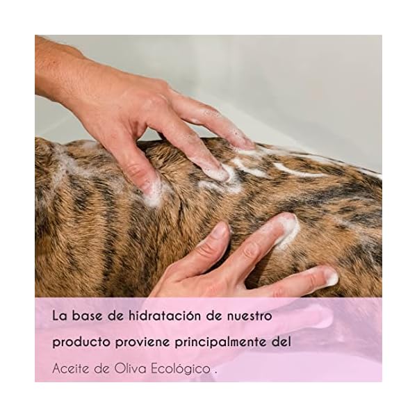 Petuxe Shampoo für Hunde und Haustiere, für alle Haartypen – Bild 6