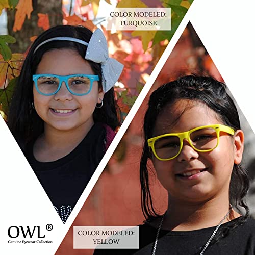 OWL 20 Pack Bulk Kids Nerd Glasses, UV Protected Childrens Non Prescription Clear Lens Fake Toddler Glasses4