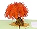 PopLife Orange Maple Tree 3D Pop Up Autumn Card - Anniversary, Pop Up Birthday Card, Thank You, Congratulations, Valentine - for Mom, for Daughter, for Wife, for Grandma, for Stepmom