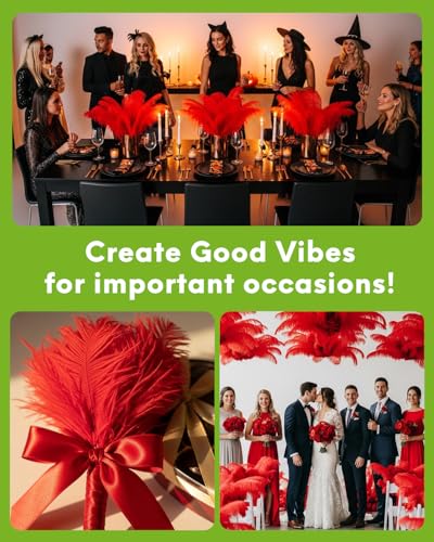 image for NEWONG 30pcs Red Ostrich Feathers Natural Bulk 11-14inch(28-35cm) Vase