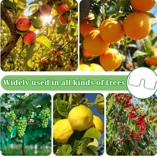 Doblador de ramas duradero de acero plateado para árboles frutales 6