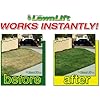 Lawnlift Ultra Concentrated (Green) Grass Paint 1 Gallon Up to 10 Gallons of Product.