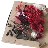 51Gu4I9nBoL._SS200_.jpg 51Gu4I9nBoL._SS200_.jpg