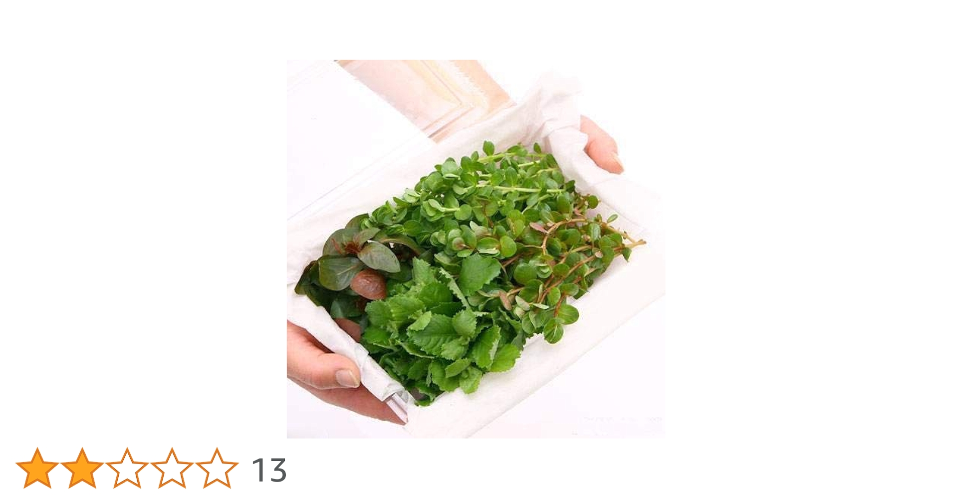 ☆atsupapa☆様 リクエスト 4点 まとめ商品　水草 Amazon.co.jp: （水草）初心者向けおまかせ水草詰め合わせパック