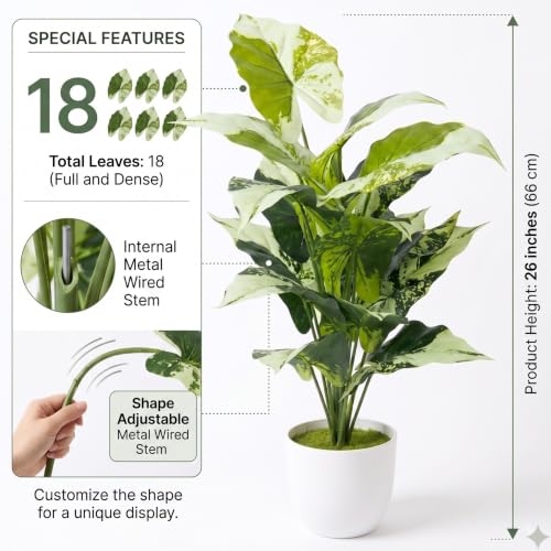Image of Dekorly Fake Plants Artificial Floor Plants Large Tropical Palm Tree Tall Monstera in Pot for Indoor Outdoor Home. (Dump Cane | White Pot, Pack of One)